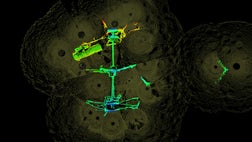 The remains of the only U.S. Navy ship sunk in the Gulf of Mexico during Civil War combat now can be seen in -D sonar images from the Gulf's murky depths, revealing details such as a shell hole that may have been among the ship's fatal wounds.